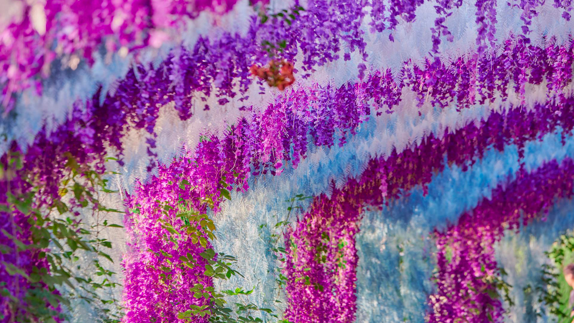 Euroflora – Comune di Genova