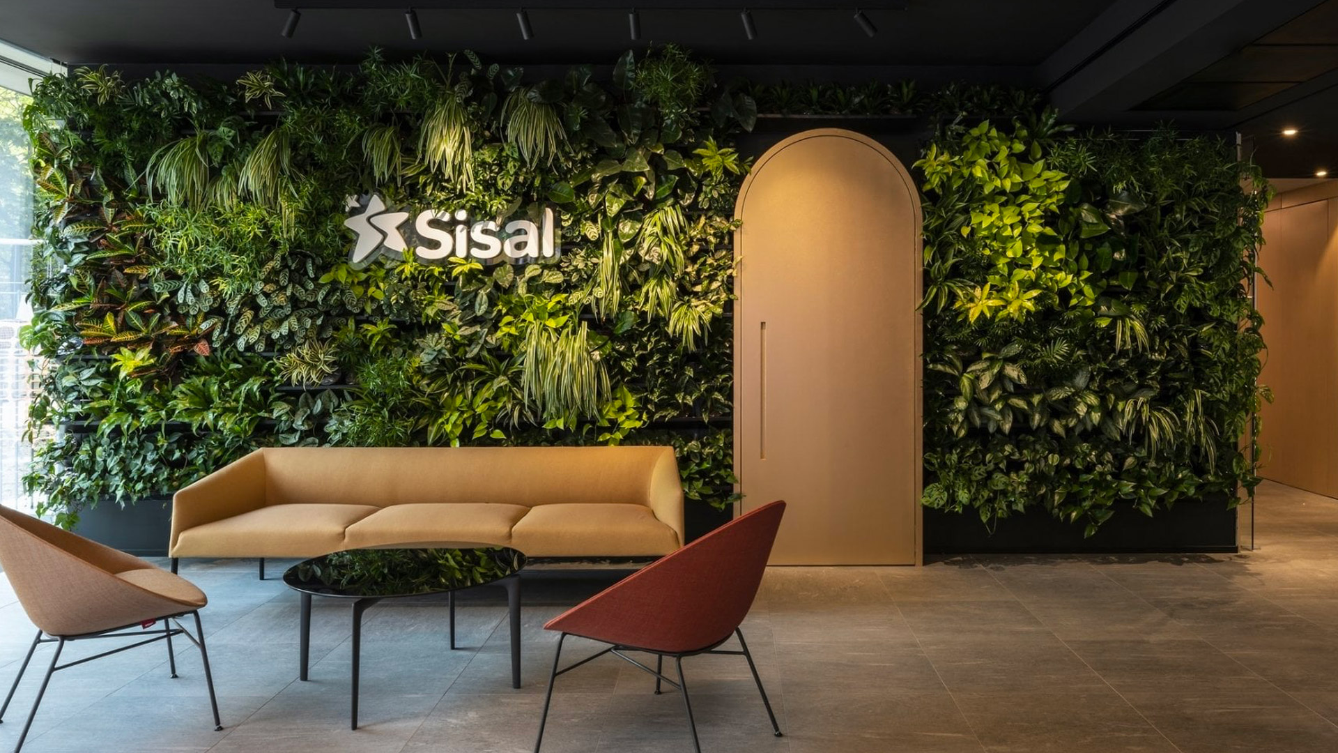 Sisal
